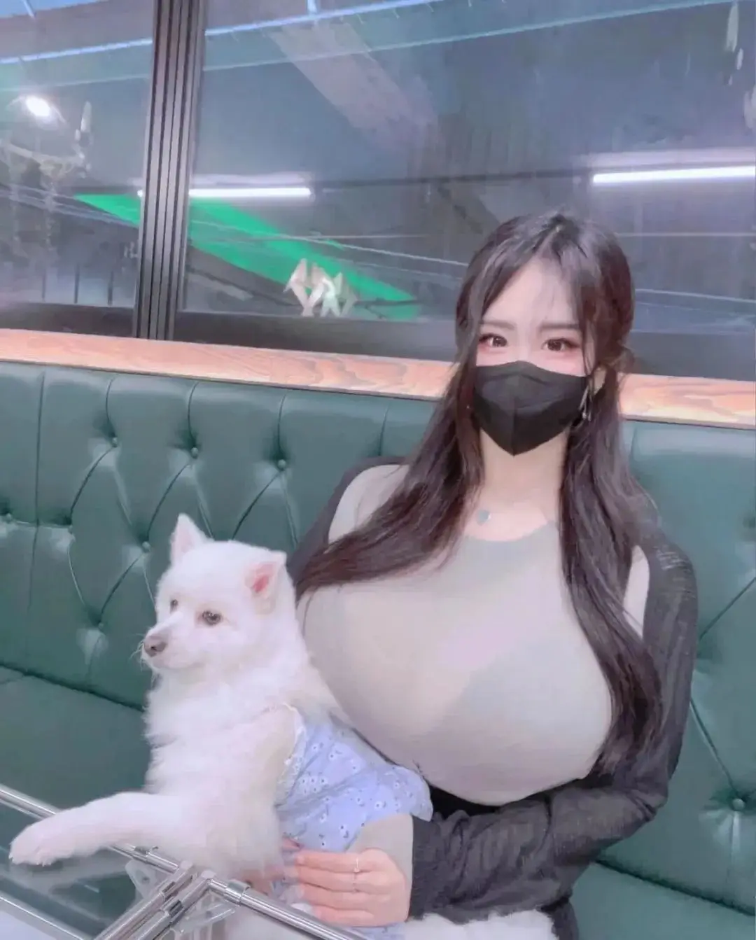 im电竞平台下载v851.98.392.11.354 安卓版-2265安卓网